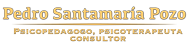 Pedro Santamaria Pozo Logo